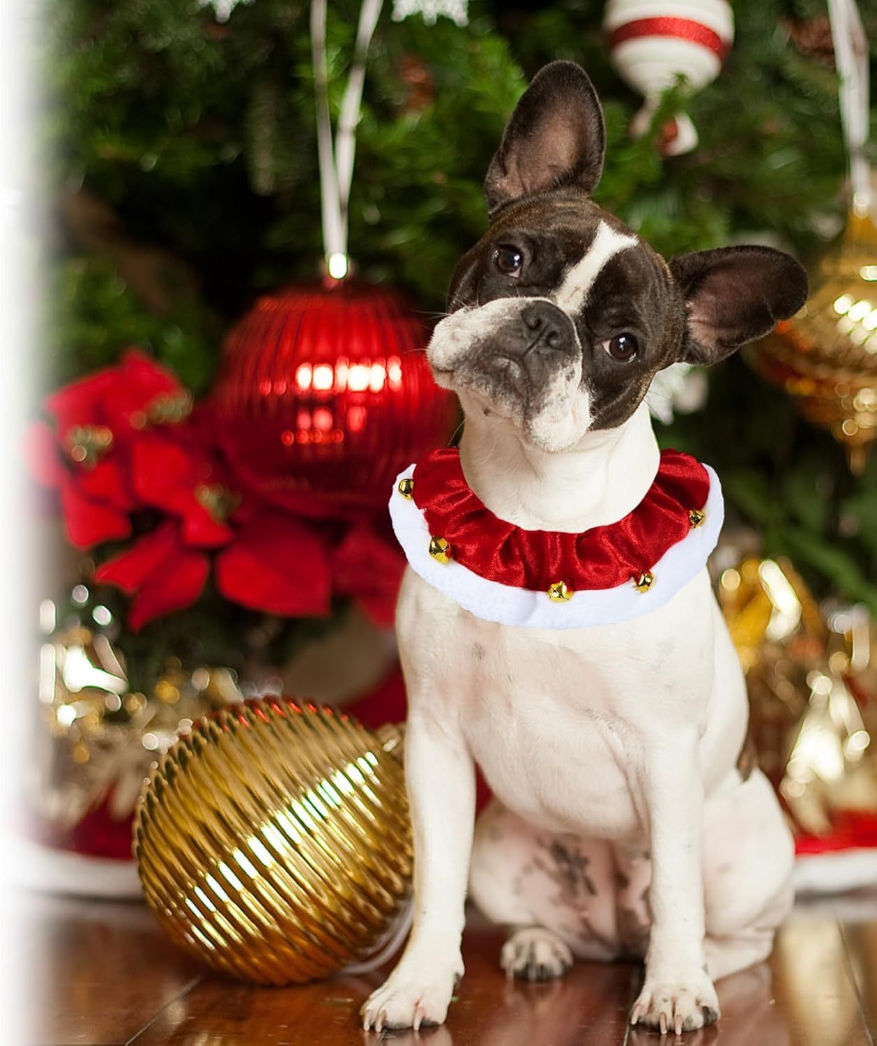 Dog Christmas Outfit Christmas Dog Collar With Bells Ornaments Holiday Christmas Dog Neckwear Costume Clothes For Small Medium Large Dogs Pets - Image 8