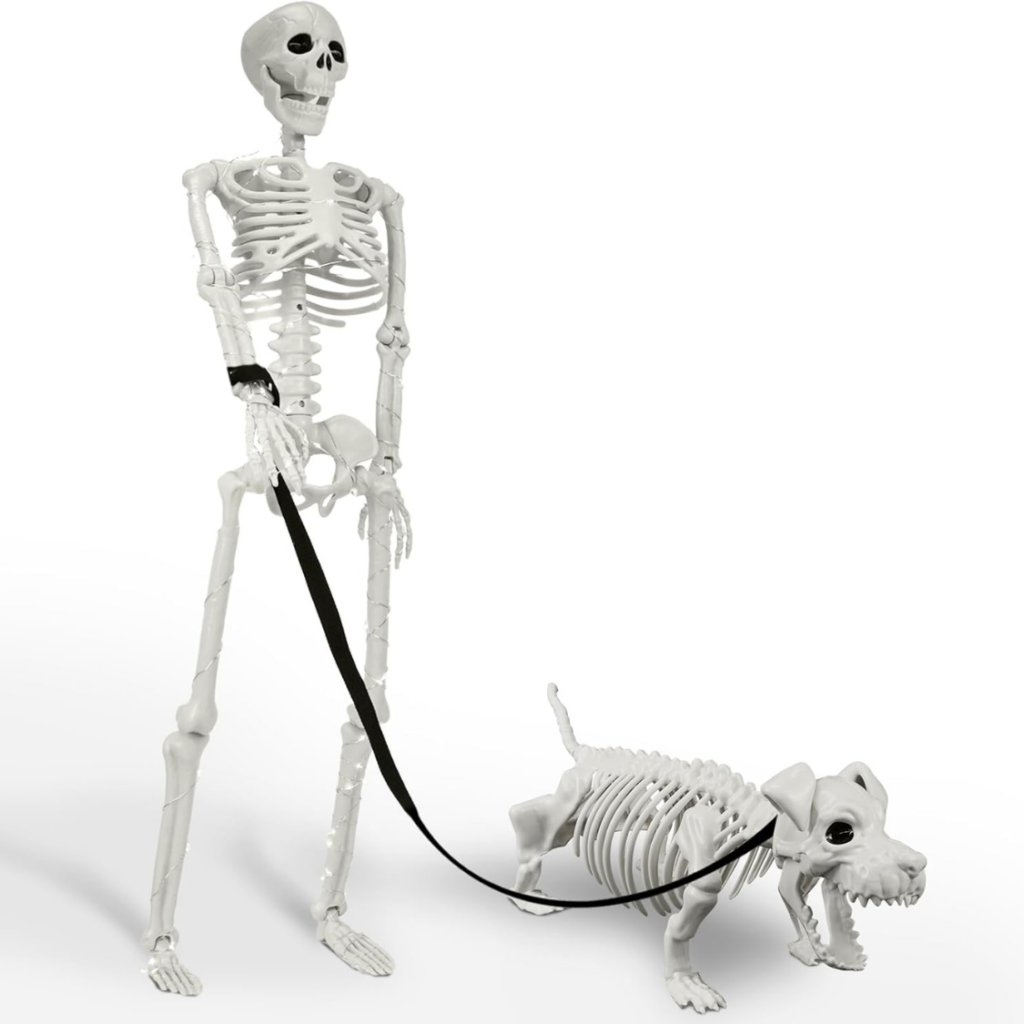 36 Inch Lighted Human & Dog Skeleton Halloween Decor, Movable Posable Outdoor Indoor Display