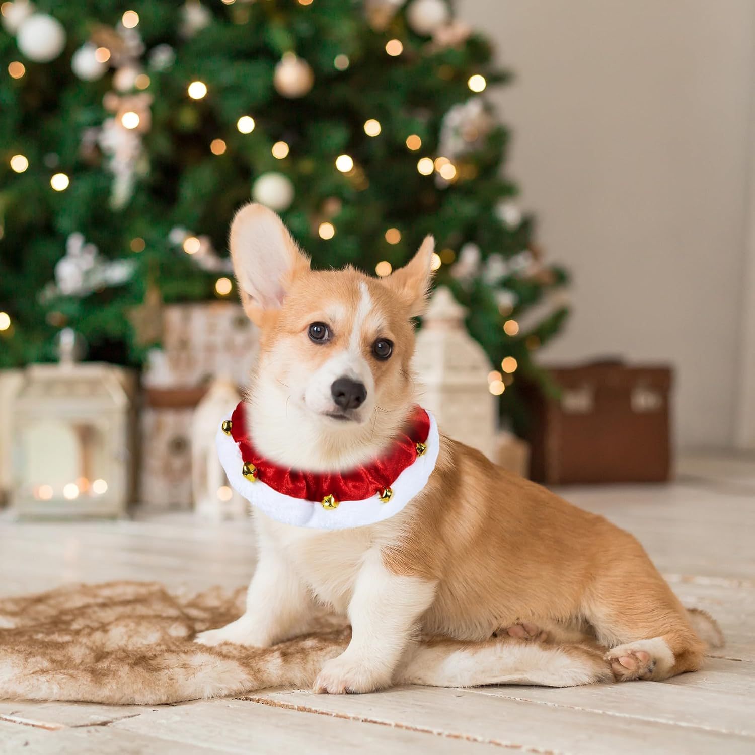 Dog Christmas Outfit Christmas Dog Collar With Bells Ornaments Holiday Christmas Dog Neckwear Costume Clothes For Small Medium Large Dogs Pets - Image 6