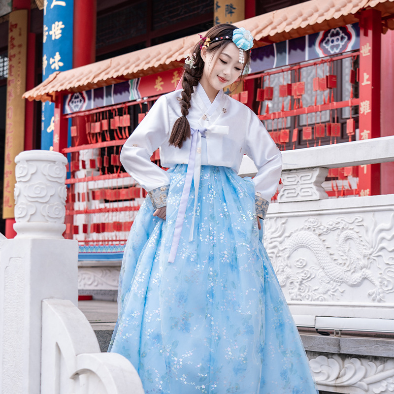 Women's Sheer Stage Dance Performance Costume