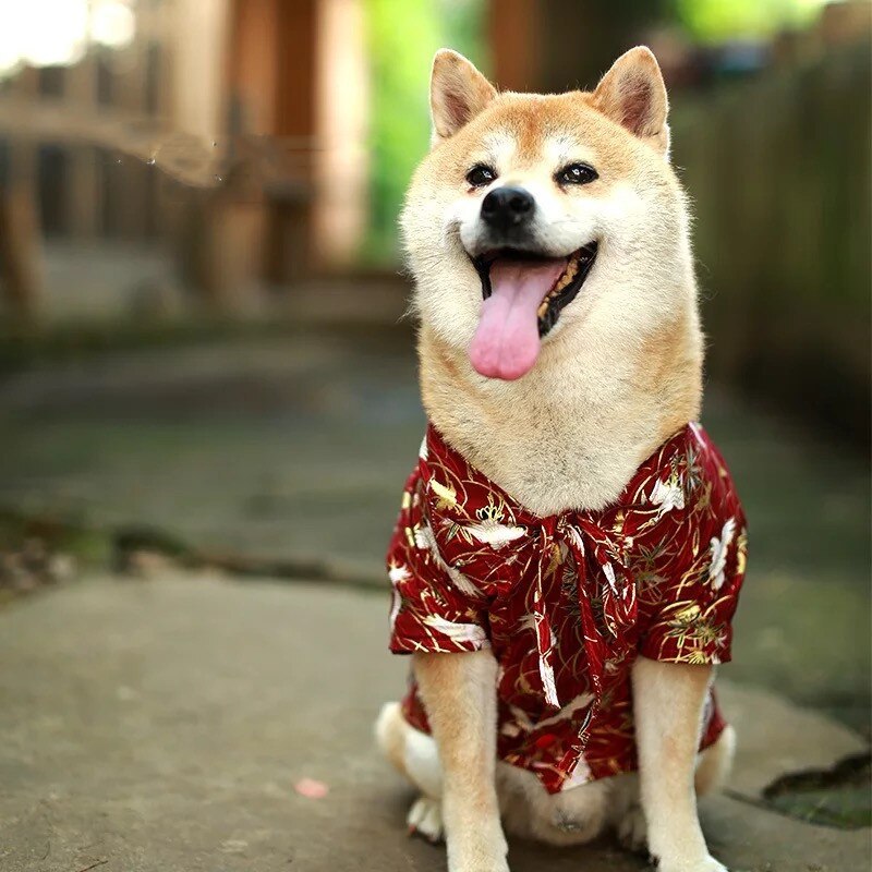 Mode japon Kimono chemise pour chiens chiot chemise Shiba Inu été T-shirt animal de compagnie chien vêtements bouledogue animaux vêtements Costume GZC09 - Image 2