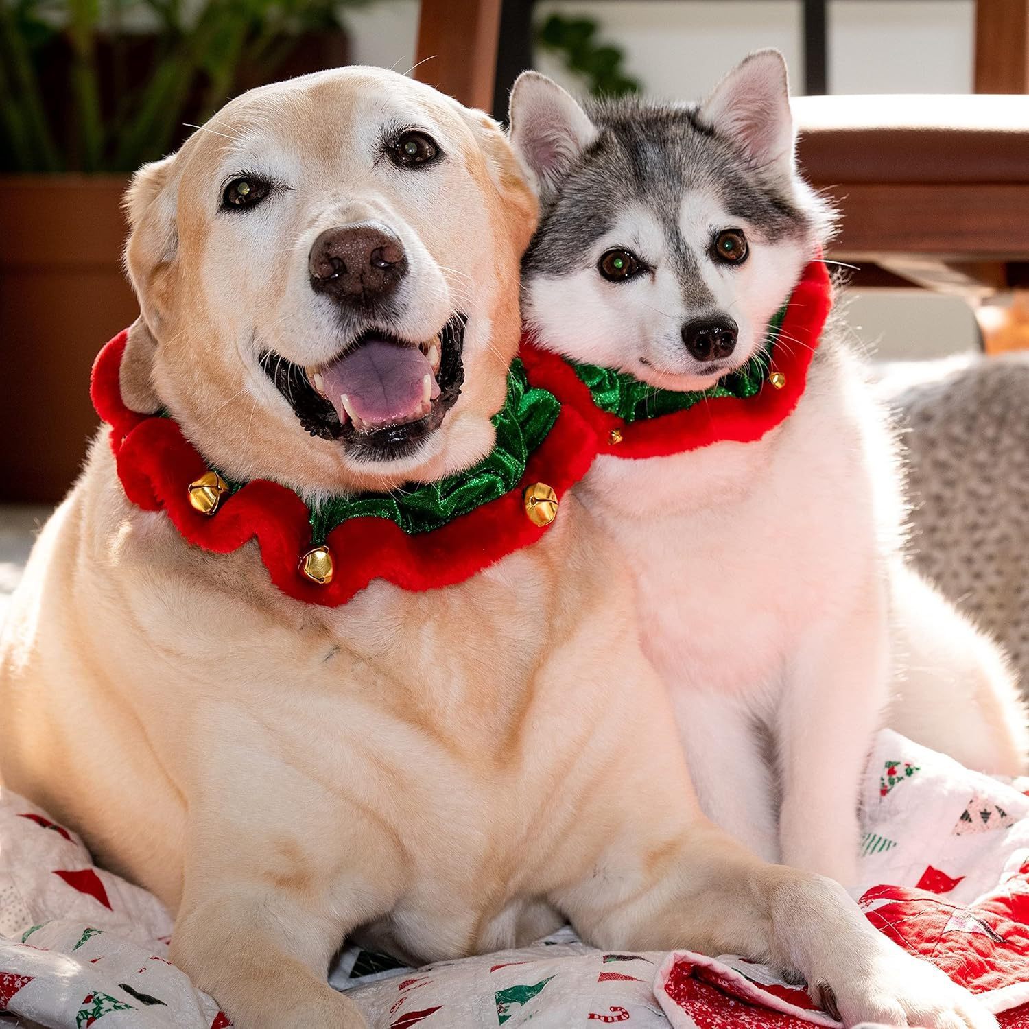 Dog Christmas Outfit Christmas Dog Collar With Bells Ornaments Holiday Christmas Dog Neckwear Costume Clothes For Small Medium Large Dogs Pets - Image 5