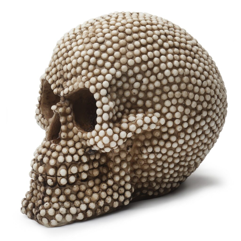 Skull Head Skull Head Animal Skull Ornament