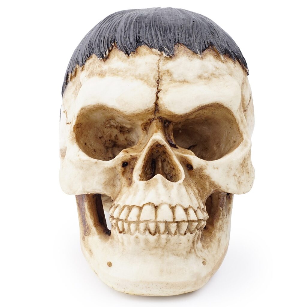 Resin skull animal skull ornament