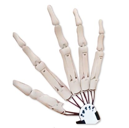 Halloween Articulated Long Fingers Glove - Image 10
