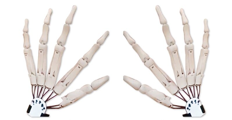 Halloween Articulated Long Fingers Glove - Image 11