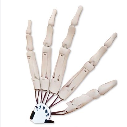 Halloween Articulated Long Fingers Glove - Image 9